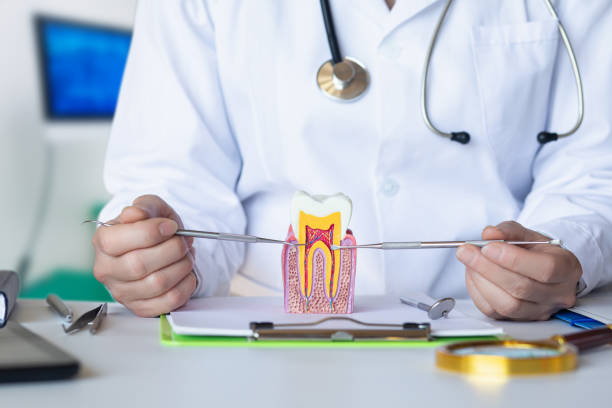 Best Emergency Care for Gum Disease in Hunter, OH